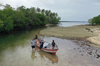 leleana resort kolombangara