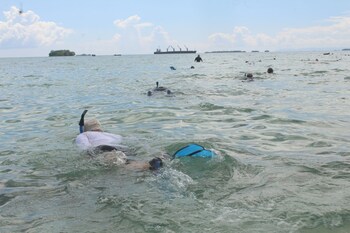 kolombangara island