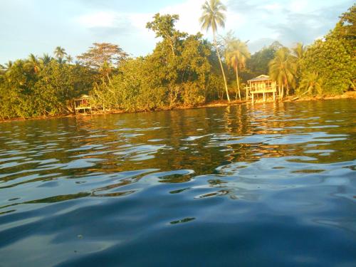 leleana resort kolombangara