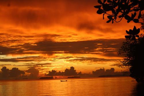 leleana resort kolombangara