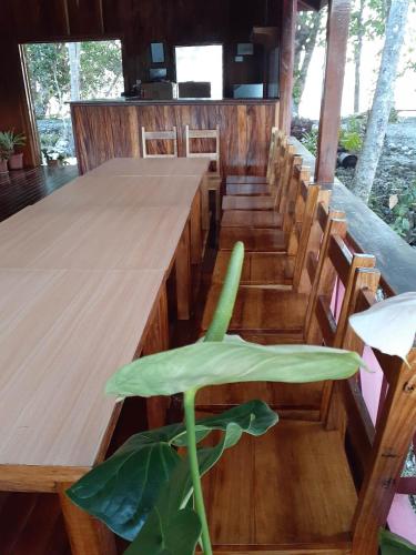 leleana resort kolombangara