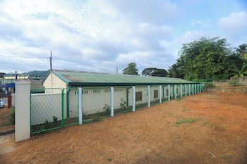 mango tree retreat