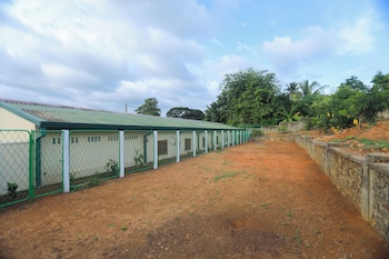 mango tree retreat