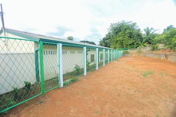 mango tree retreat