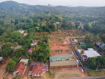 mango tree retreat