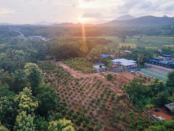 mango tree retreat