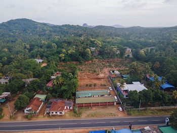 mango tree retreat
