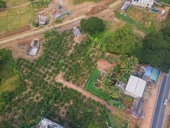mango tree retreat