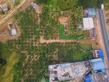 mango tree retreat