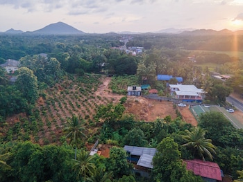 mango tree retreat