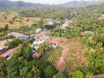 mango tree retreat