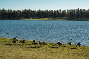 historic gilchrist waterfront resort