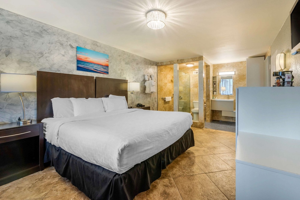 quality inn and conference center tampa brandon