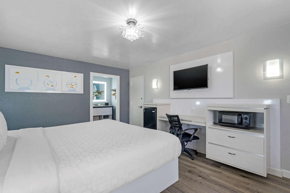 quality inn and conference center tampa brandon