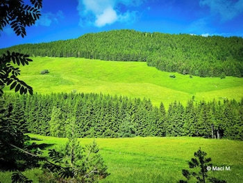 rifugio viote
