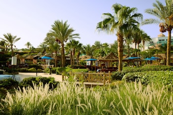 savoy sharm