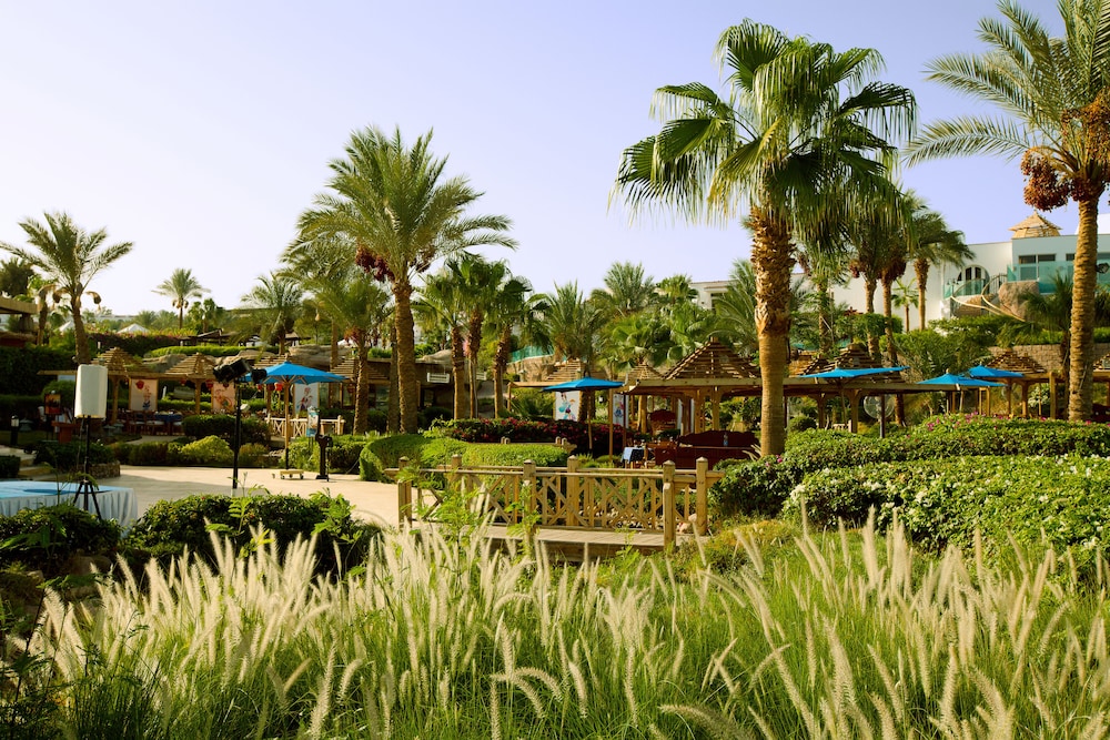 savoy sharm