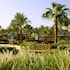 savoy sharm