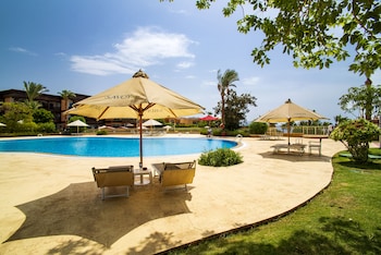 savoy sharm