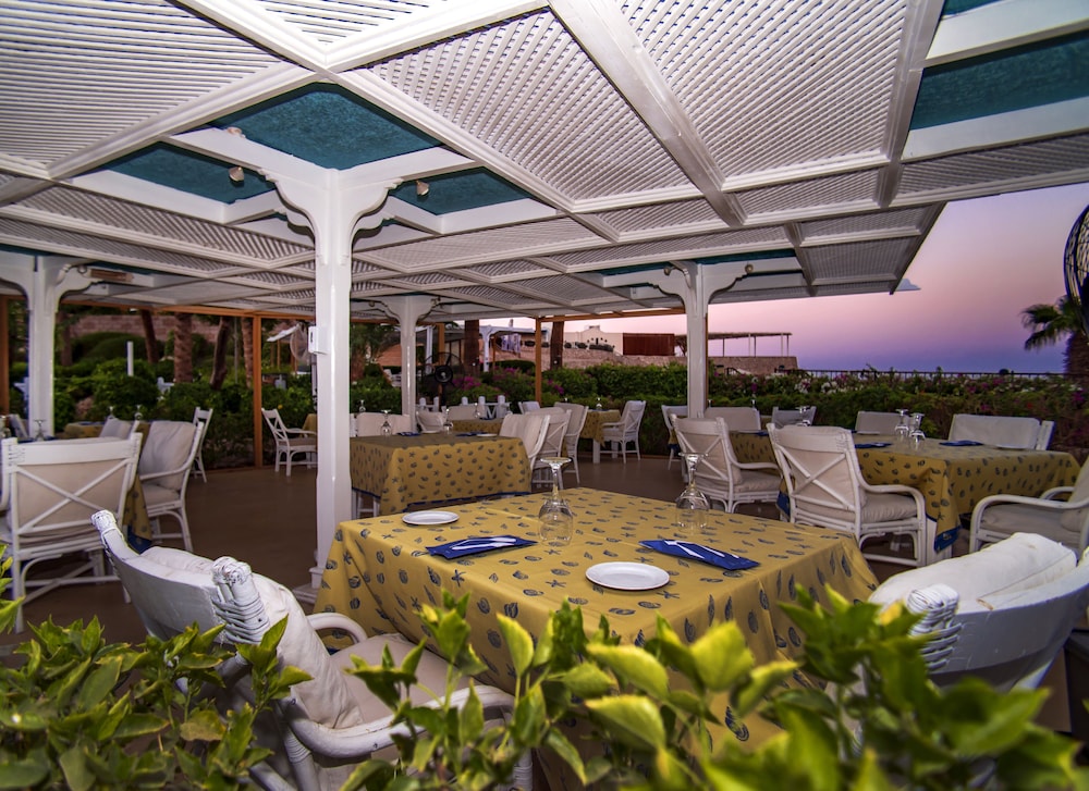 savoy sharm