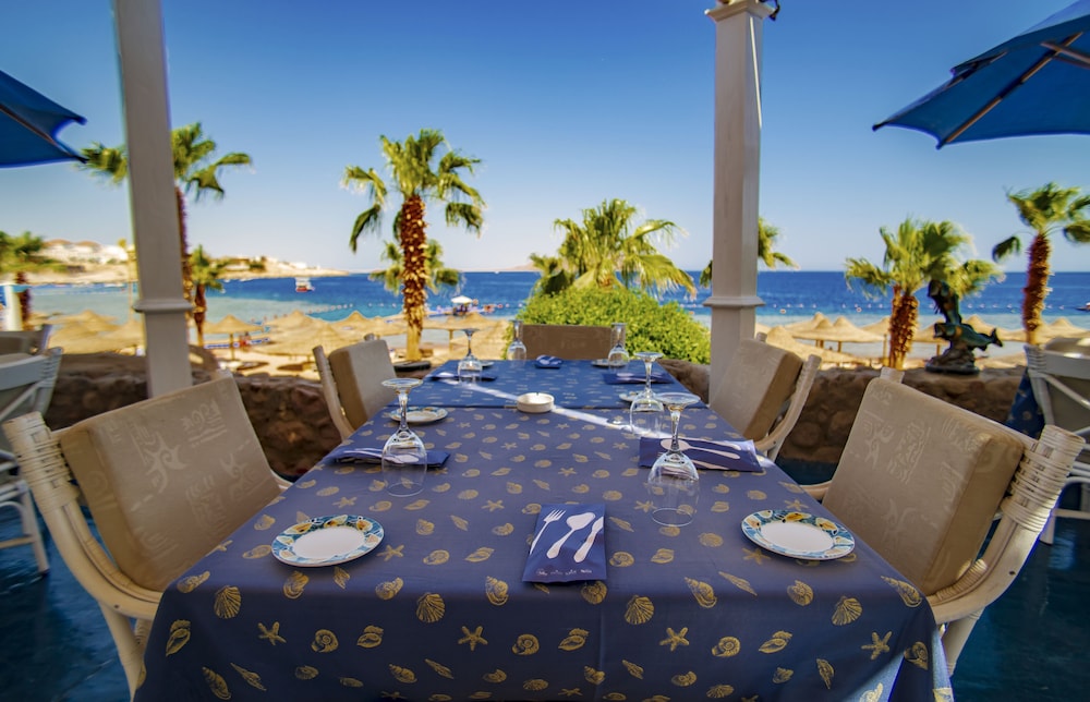 savoy sharm