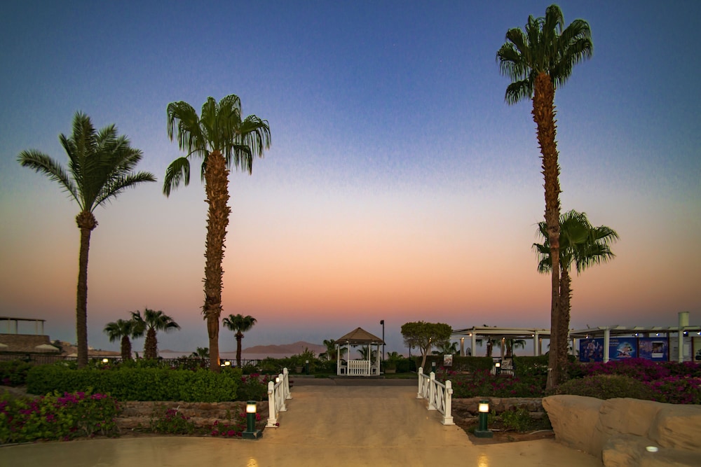 savoy sharm
