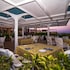 savoy sharm