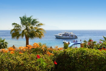 savoy sharm
