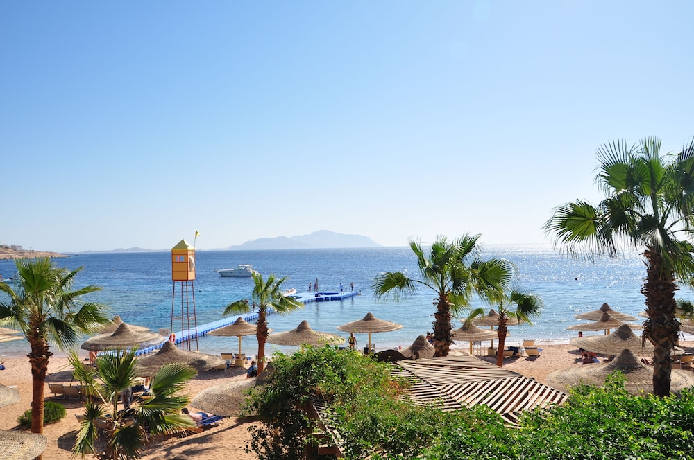 savoy sharm