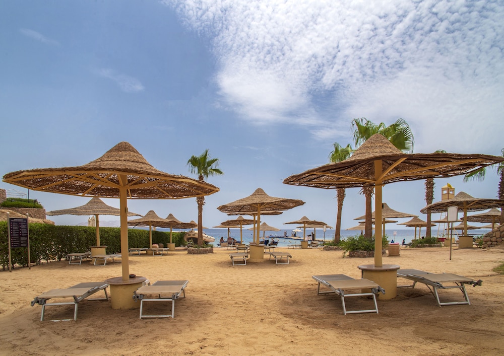 savoy sharm