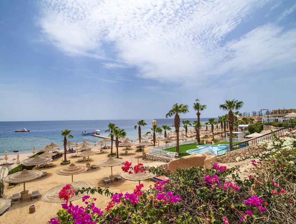 savoy sharm
