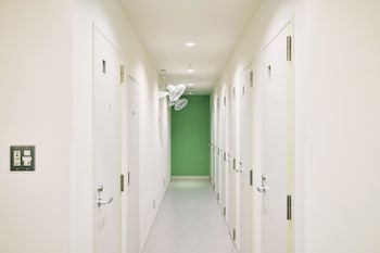 kyoto guesthouse hive hostel