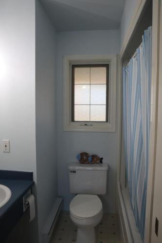 blue shore resort