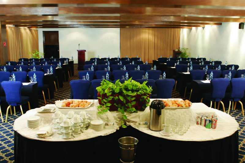 gamma merida el castellano