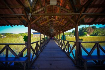 zirahuen forest and resort