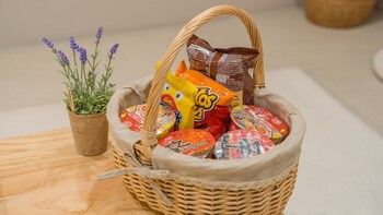 busan ji villard pension
