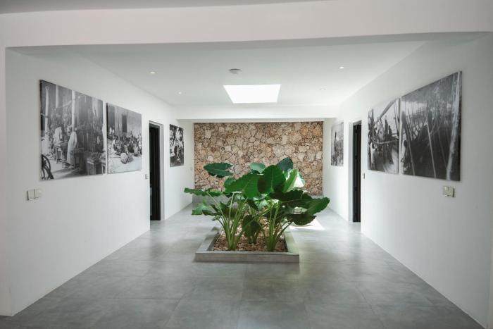 the oasis residence