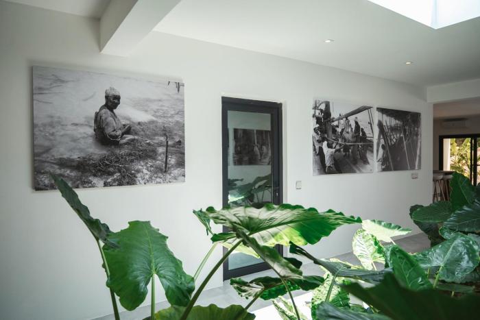 the oasis residence