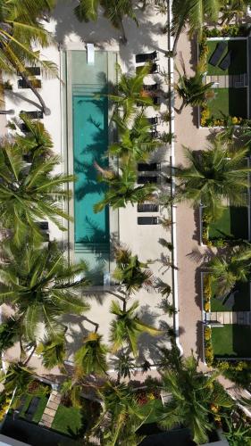 the oasis residence