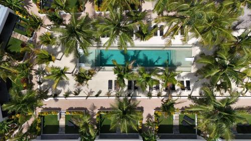 the oasis residence