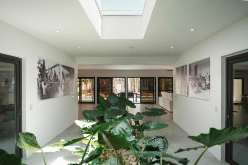 the oasis residence