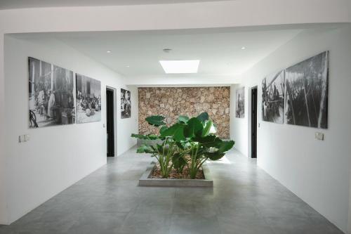 the oasis residence