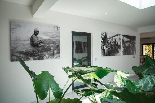 the oasis residence