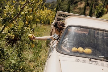 dajas douro valley new opening