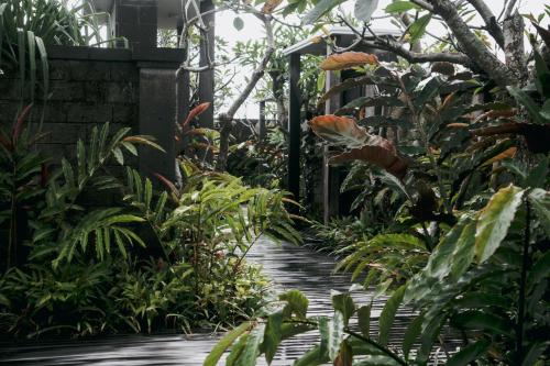 e sanctuary resort ubud