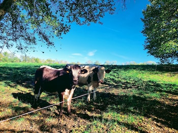 la grange