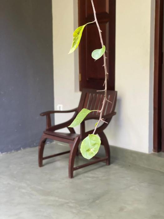 villa tambaka retreat
