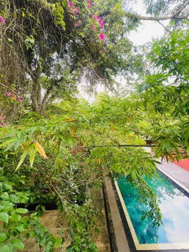 villa tambaka retreat