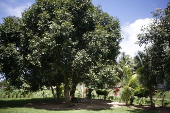maui creek bures