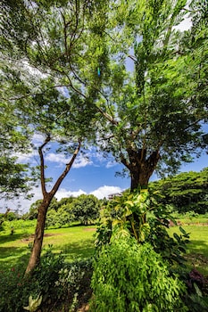 maui creek bures